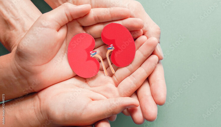 Adult and child holding kidney shaped paper on textured blue background, world kidney day, National Organ Donor Day, charity donation concept